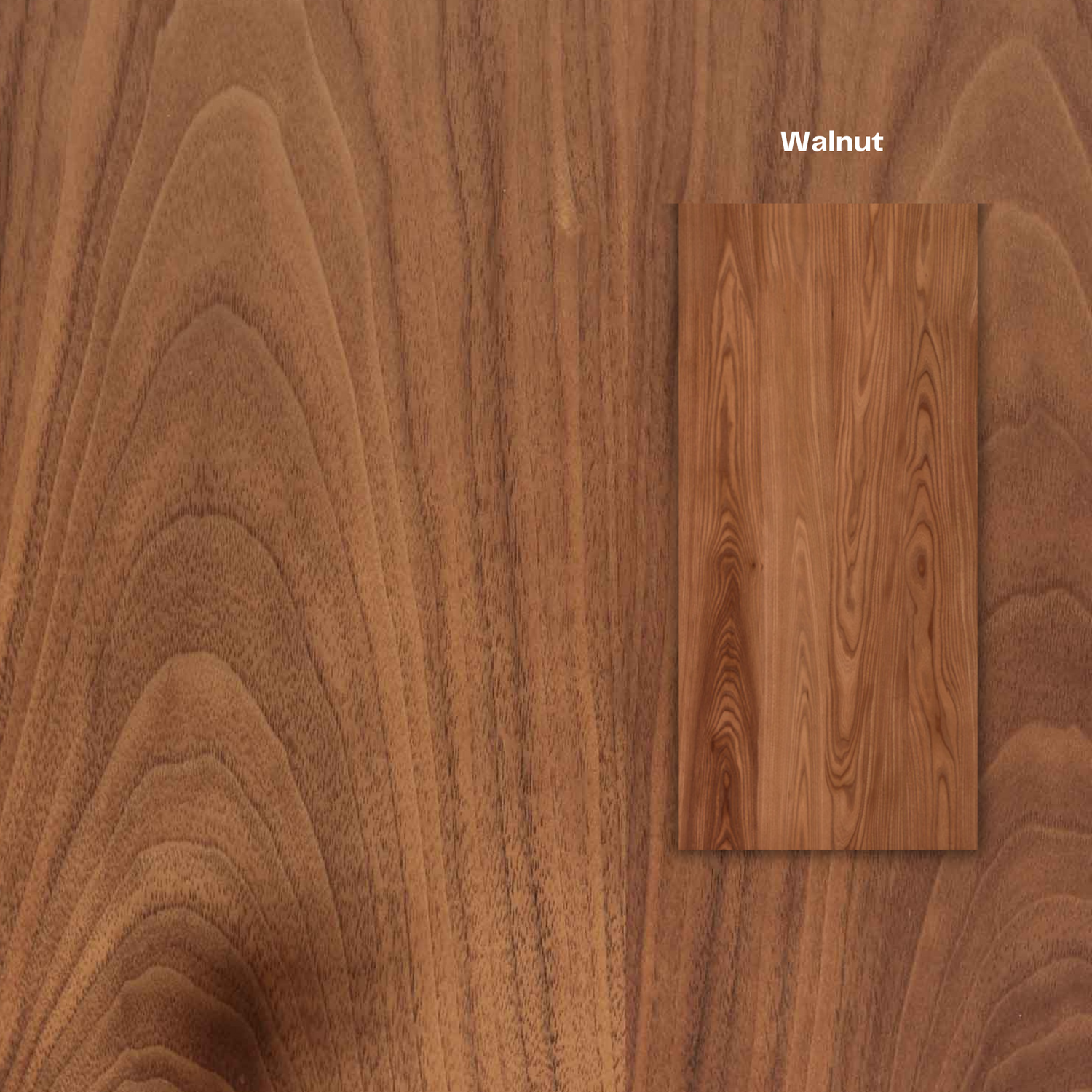 Amadora Wood Round Dining Table -  Ready to Ship