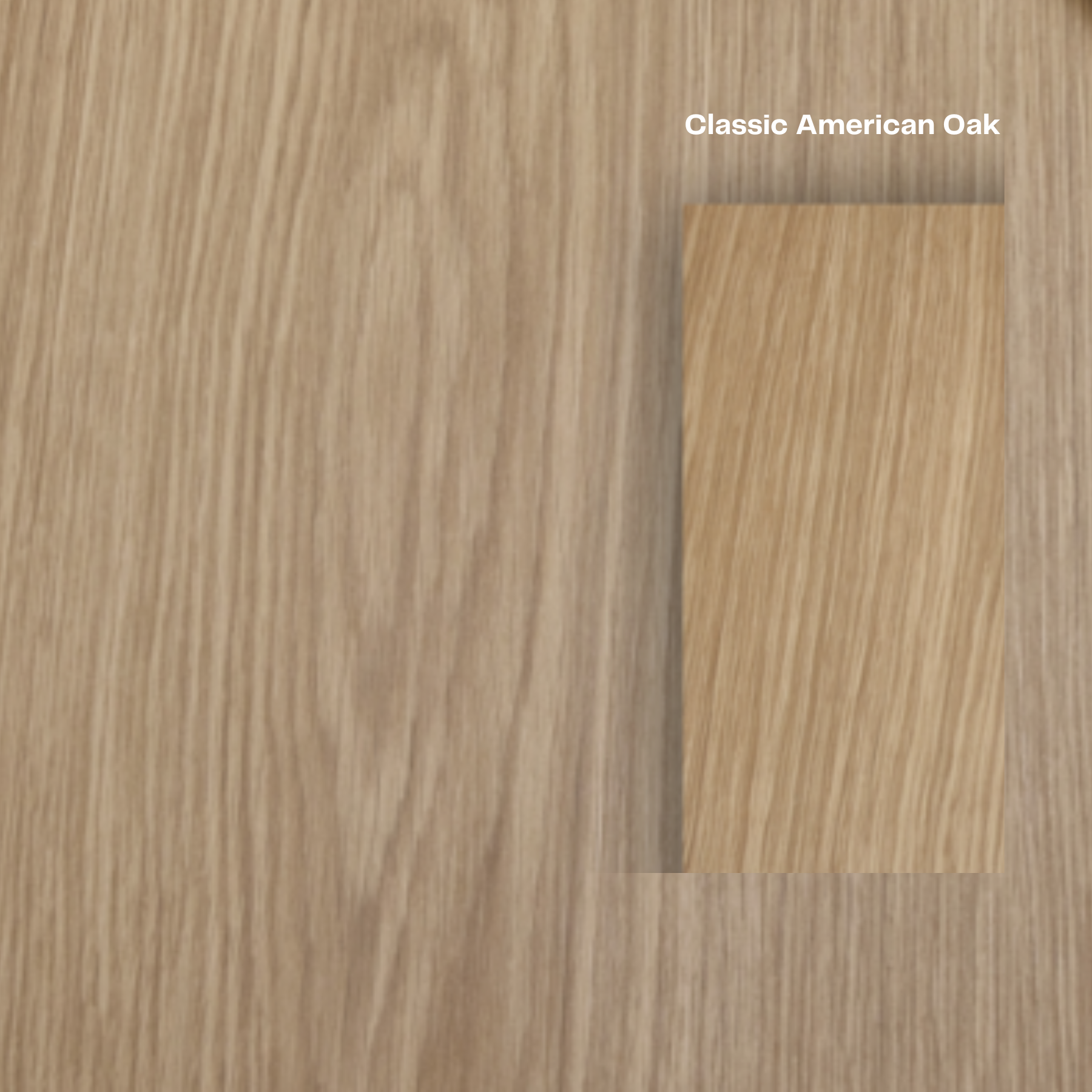 The Baobab Wood Round Dining Table - Biscuit Colour - Ready to Ship