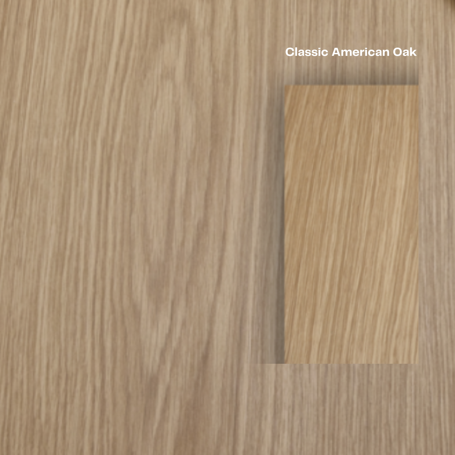 Amadora Wood Round Dining Table -  Ready to Ship