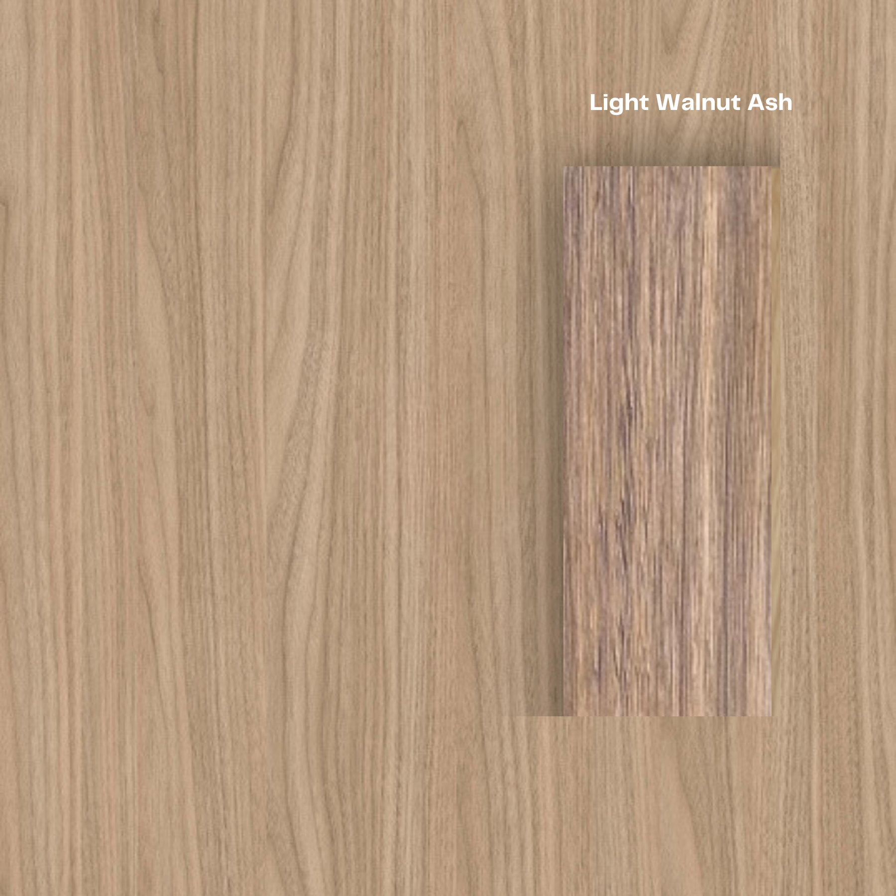 The Baobab Wood Round Dining Table - Biscuit Colour - Ready to Ship