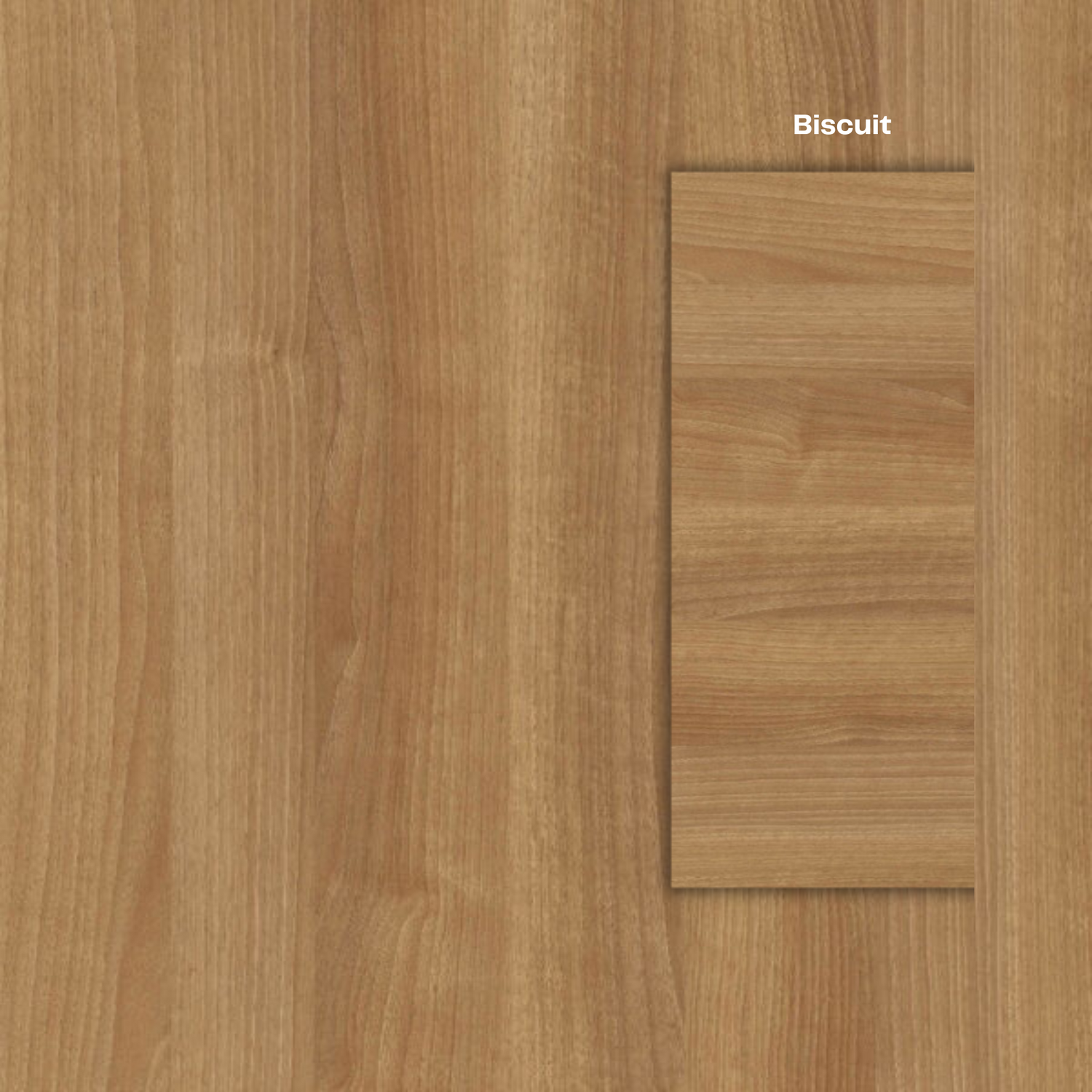 The Baobab Wood Round Dining Table - Biscuit Colour - Ready to Ship