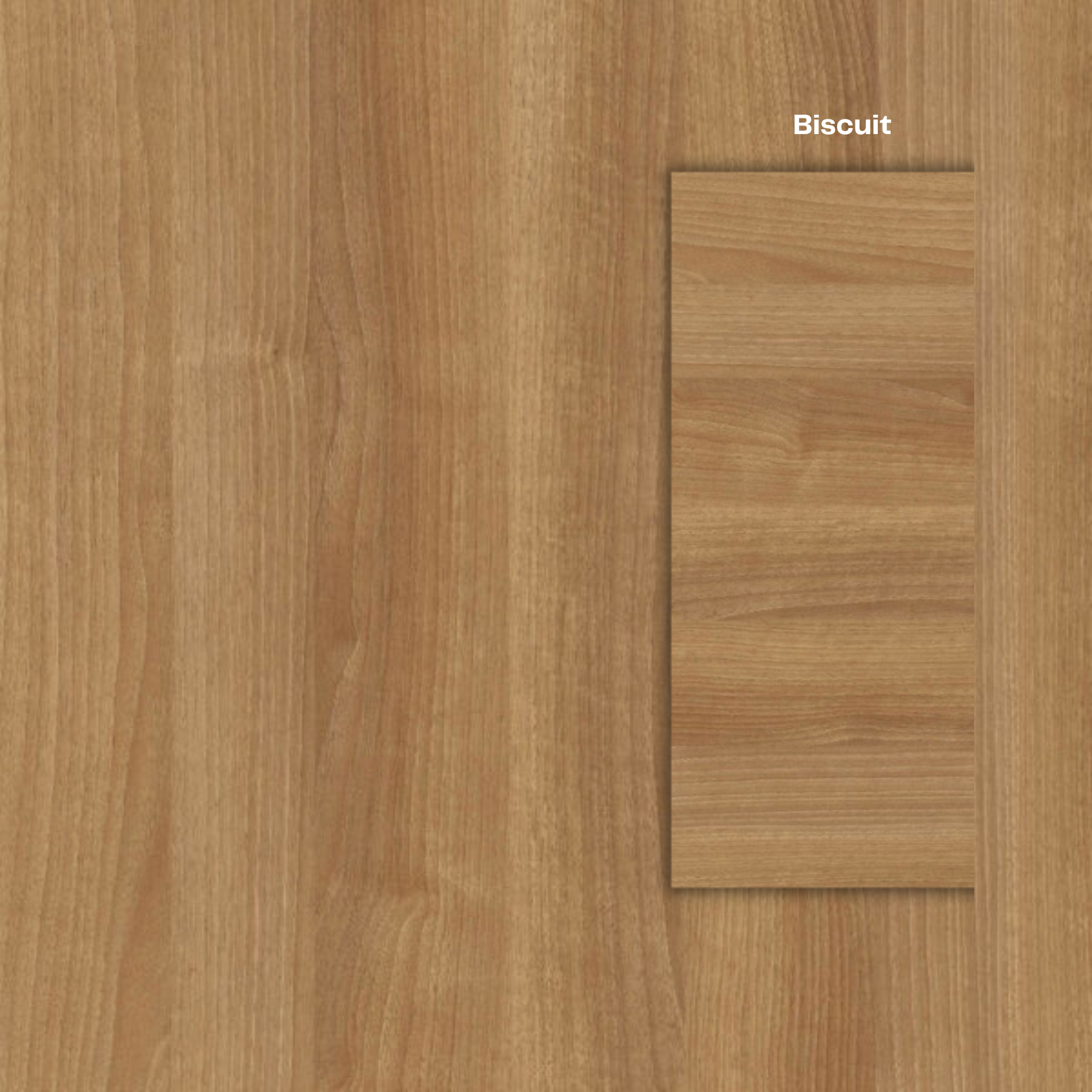 The Baobab Wood Round Dining Table - Biscuit Colour - Ready to Ship