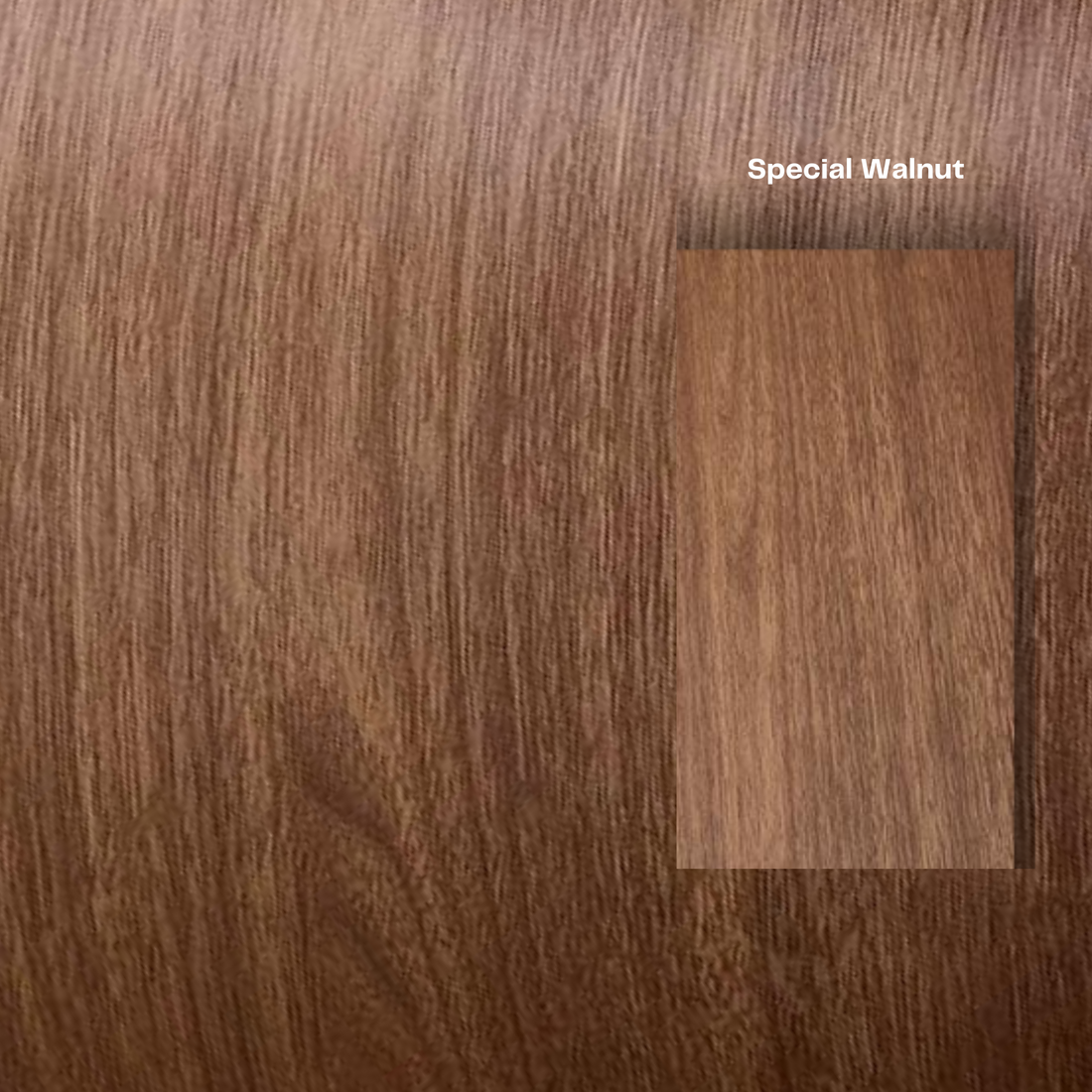 The Baobab Wood Round Dining Table - Biscuit Colour - Ready to Ship